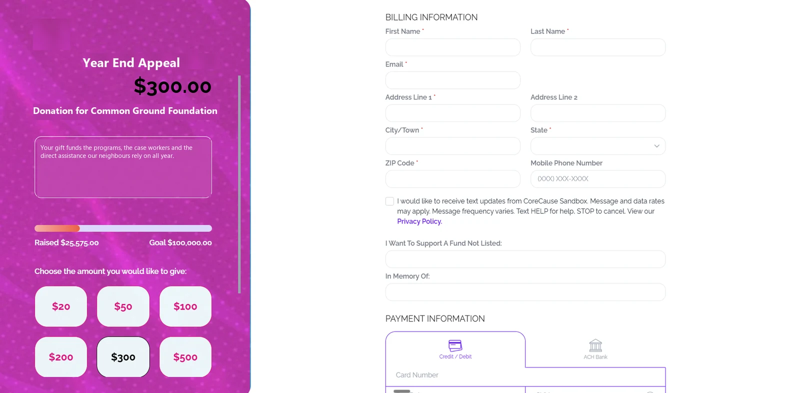 A nonprofit donation page in the organization’s colours